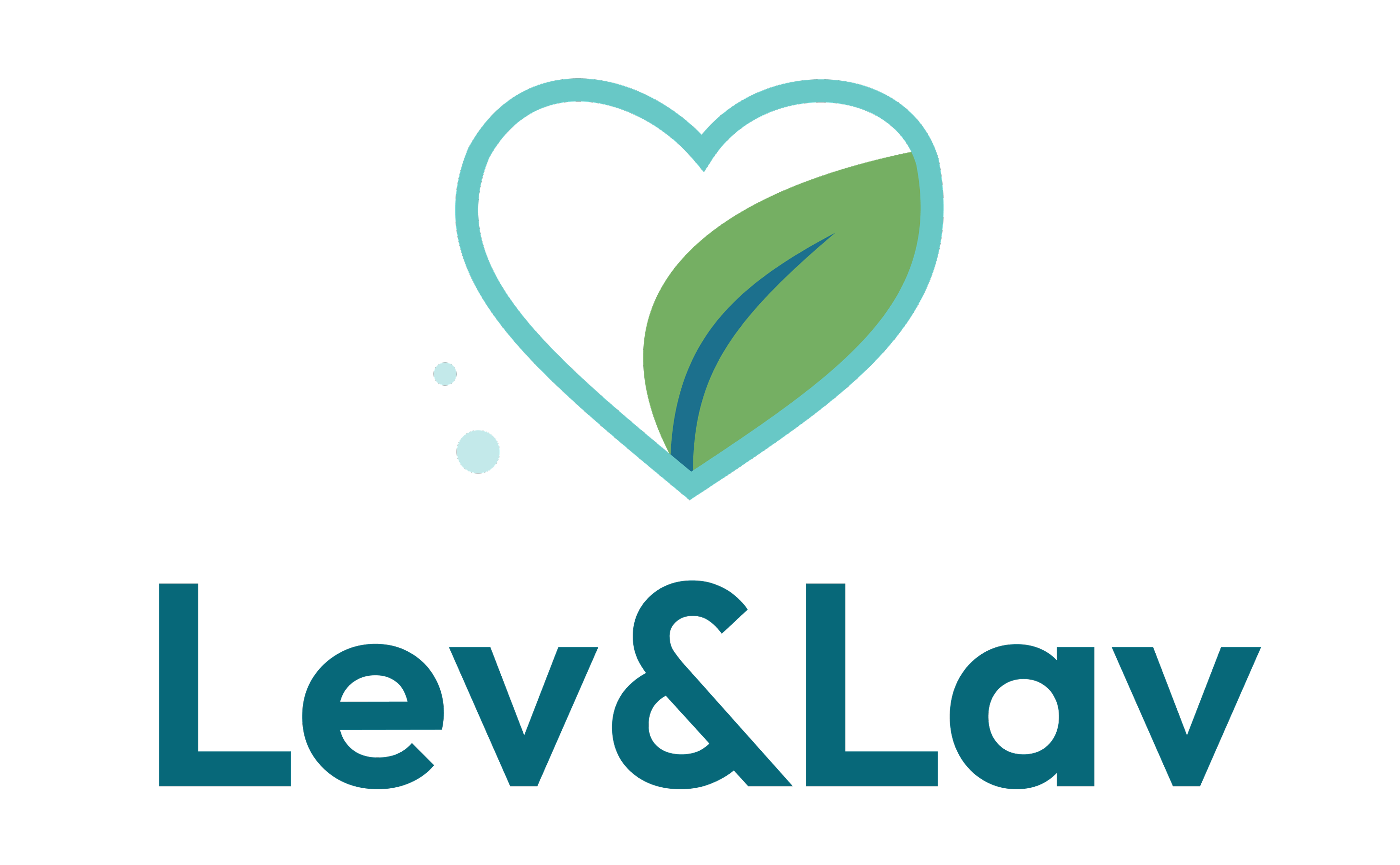 Lev&Lav - Cuidando do seu lar, preservando sua saúde